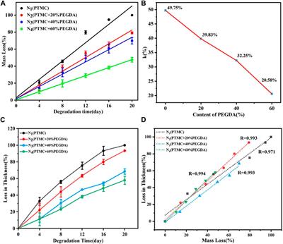 In vitro enzymatic degradation of the PTMC/cross-linked PEGDA blends